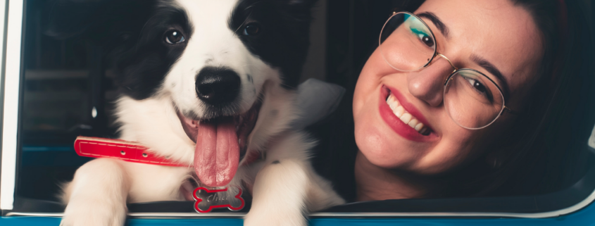 Una signora con occhiali, sorridente seduta all'interno di un'auto blu tiene in braccio un piccolo cagnolino bianco e nero, visibile attraverso il finestrino.